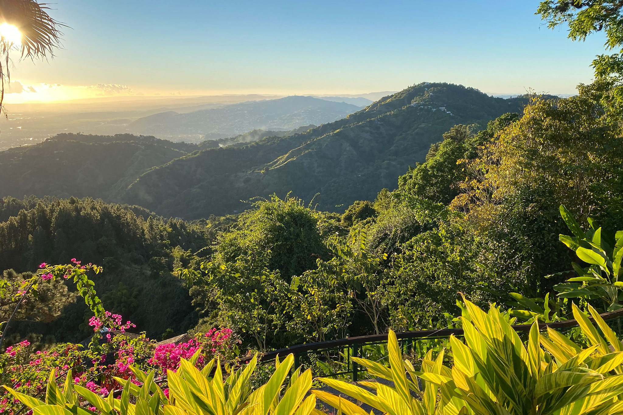 Scenic view of sunlit hills and valleys surrounded by dense tropical foliage in El Yunque National Forest.