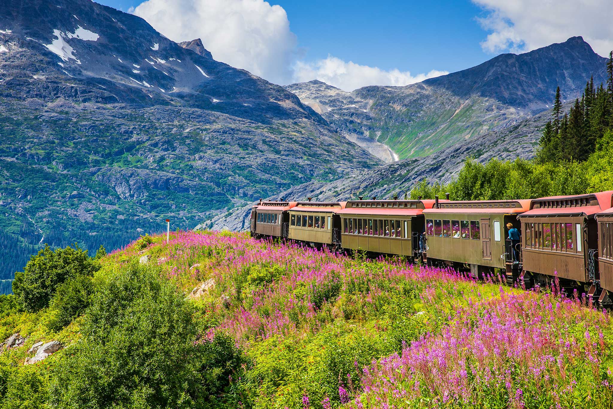 A scenic train traveling through Alaska’s mountainous landscape passes vibrant pink wildflowers, with rugged peaks, green forests, and a bright blue sky in the background.