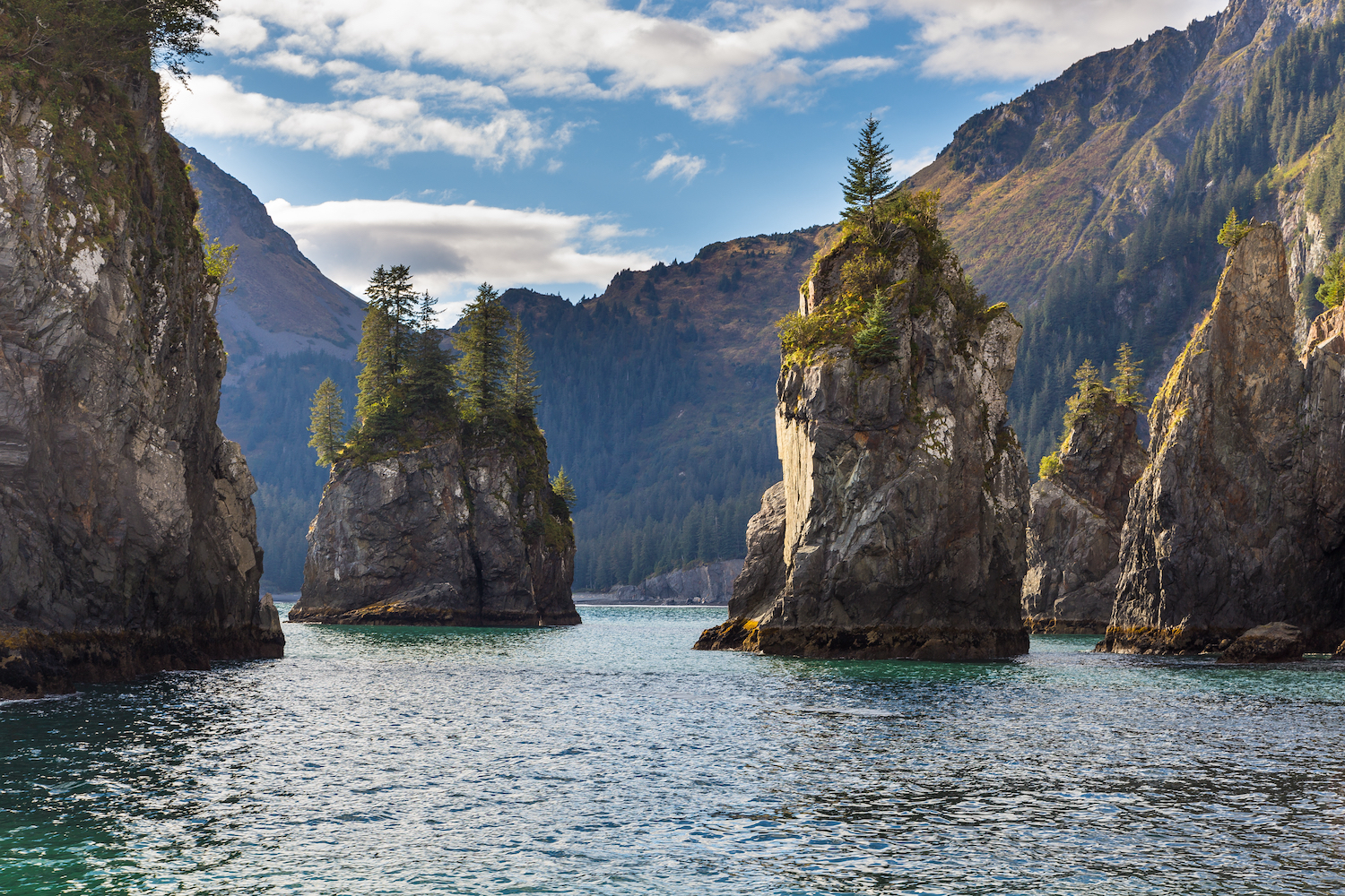 Kenai Fjords National Park in Alaska with rugged sea stacks topped with evergreen trees, steep coastal cliffs, and calm ocean water.