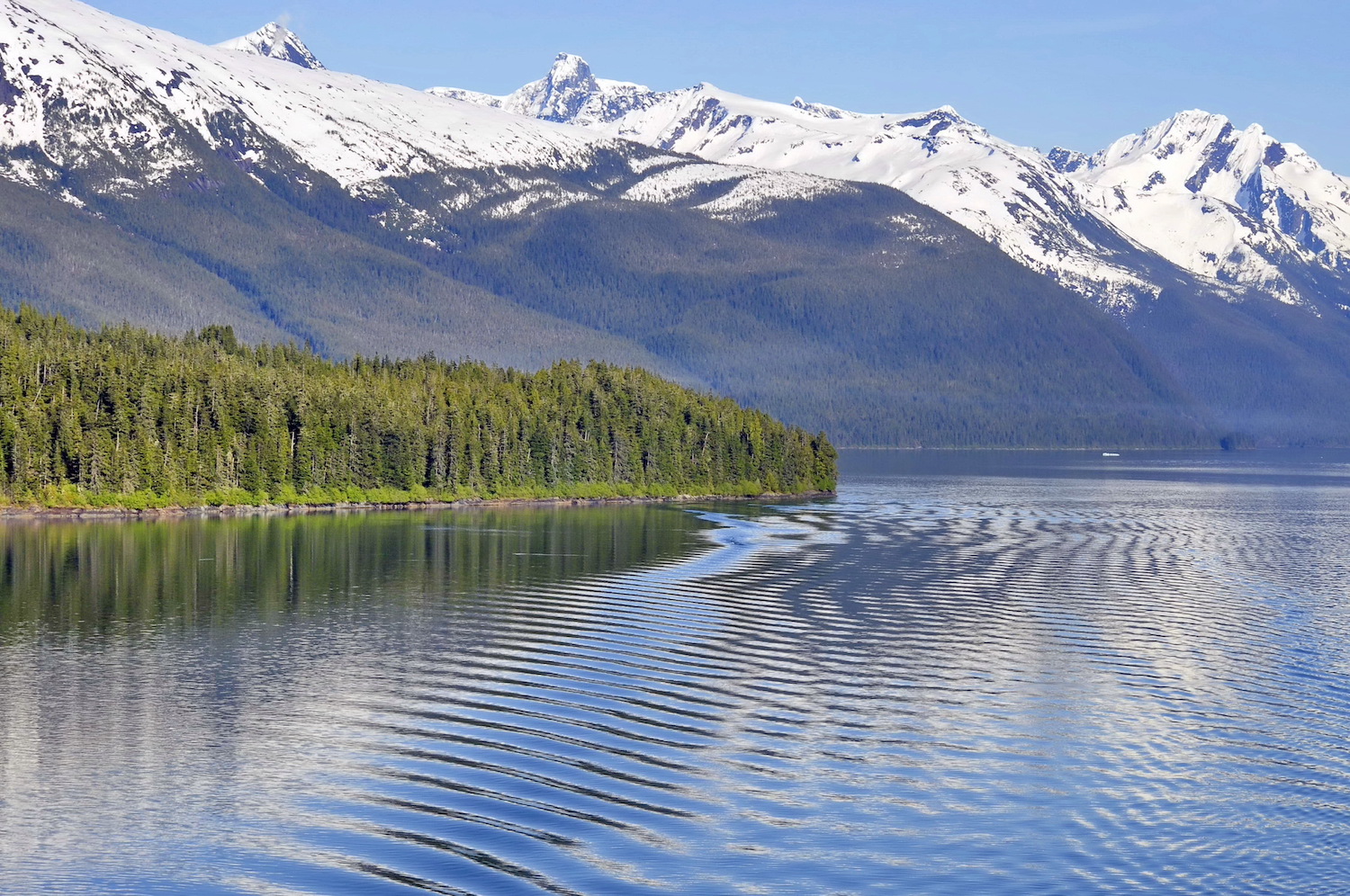 Endicott Arm Fjord in Alaska with rippled water, dense evergreen forest shoreline, and snow-covered mountain peaks.