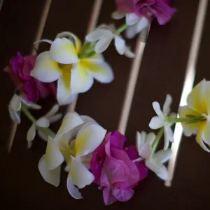 A Hawaiian lei made of pink, white and yellow flowers